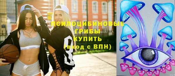 гашик Покровск