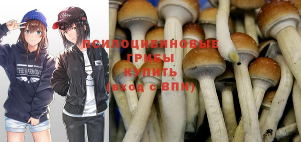 эйфоретик Абинск