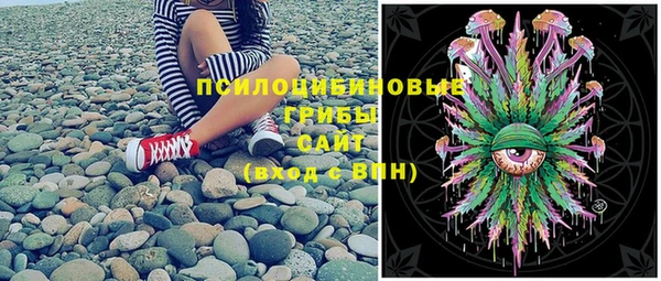 эйфоретик Абинск