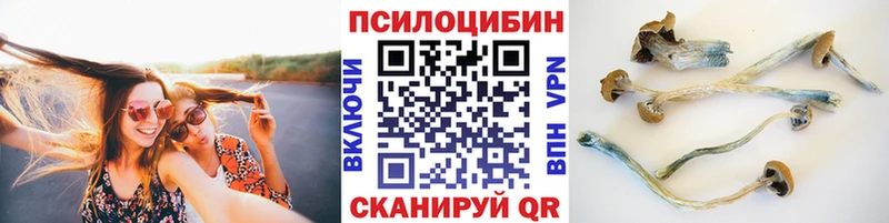 Псилоцибиновые грибы Cubensis  купить наркоту  Разумное 